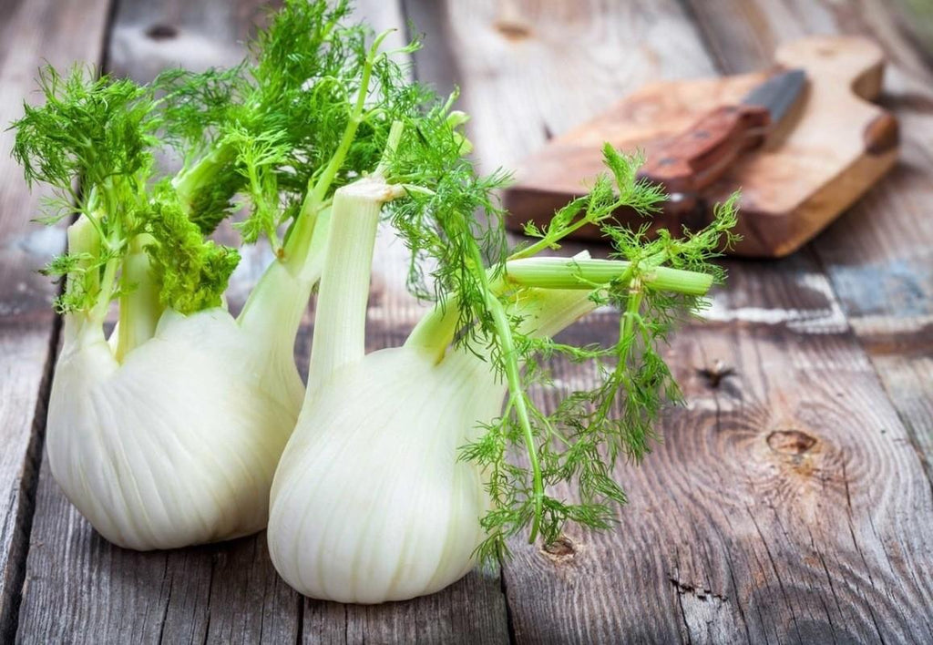 How fennel can be good for the body!