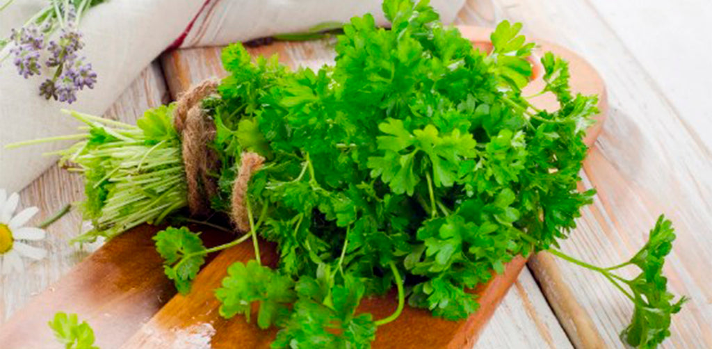 Why is parsley so healthy?