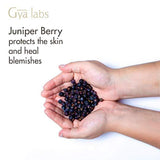 Gya Labs